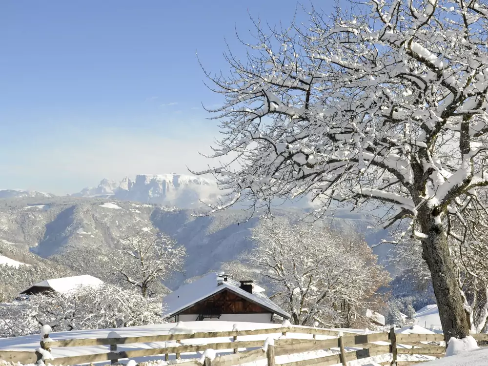 Winterlandschaft