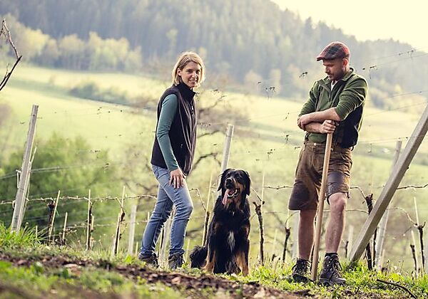 Winzerzimmer Weingut Georgium