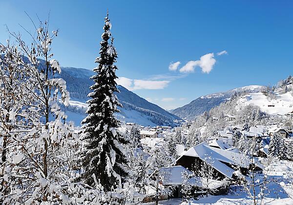 Balkon 204 Jänner 2021 1024x683