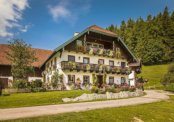 20170827_BambichlgutAussen_002_klein