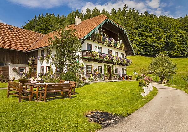 20170827_BambichlgutAussen_048_klein