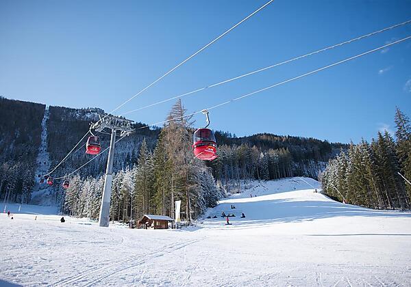 Header_Newsletter11_15