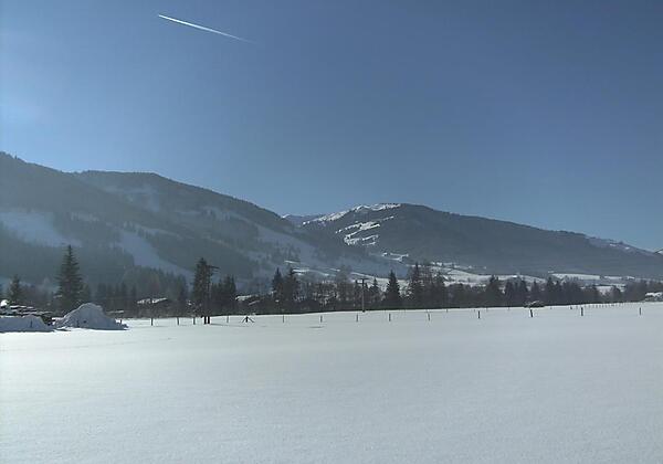BILD0100