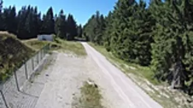 Blick auf die Loipen am Stein 16 bei Oberhof