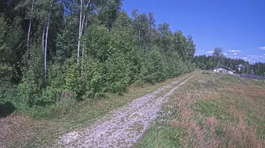 Webcam am Einstieg Kammloipe Schöneck/Vogtl.