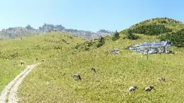 Rundumblick auf die Hochalm (2.000 m)