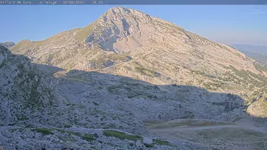 Webcam 