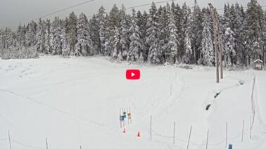 Cypress Hollyburn Cam 