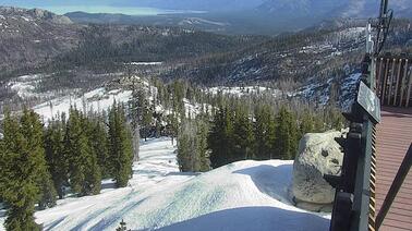 Blick von Eastabout auf Abhang mit Wald
