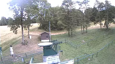 Webcam 