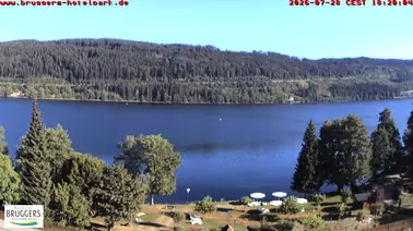 Blick auf den Titisee