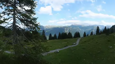 Rundblick Oberblegisee im Glarus