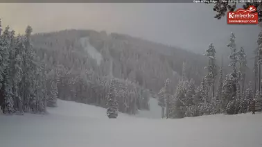 Blick auf die Piste