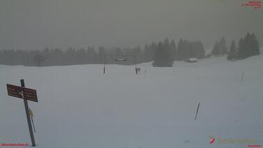 Blick auf Start Schlittelbahn und Mini-Snowpark