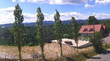 Webcam 