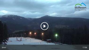 Blick auf die Piste und den Schlepplift