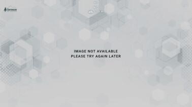 Panoramablick auf Corrençon