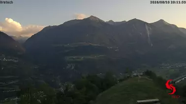 Blick Bratsch