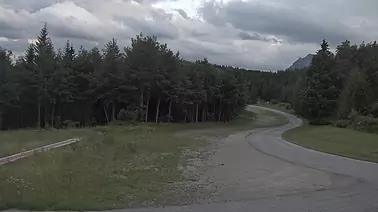 Webcam 