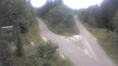 Blick auf die Loipen