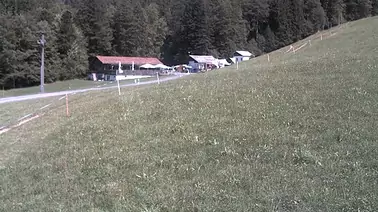 Blick über den Seilpark