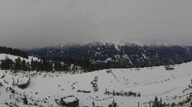 Blick auf Fichtensee und Alpen
