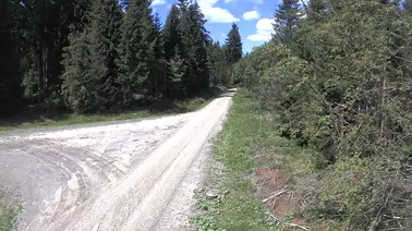 Blick auf die Kammloipe