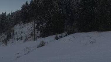 Blick auf Going und den Wilden Kaiser (805 m)