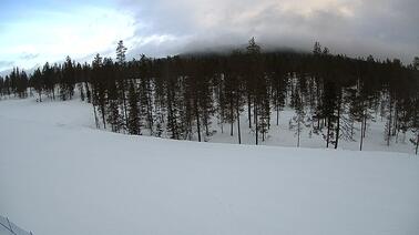 Blick auf eine Piste im Skigebiet Idre Fjäll