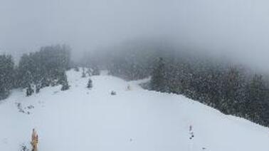 Aussicht vom Burtschsattel ins Brandnertal