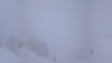 Bergstation Les Gets (1.795 m)